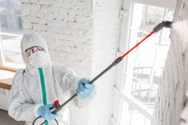 Best Comprehensive Air Testing for Mold Contaminants  in North Muskegon, MI