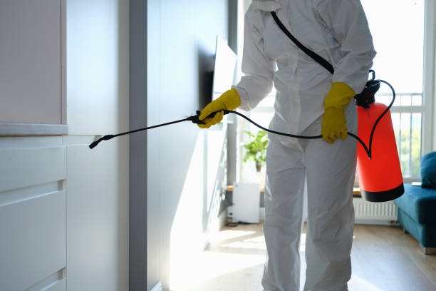 Best Air Quality Testing for Mold Spores  in North Muskegon, MI