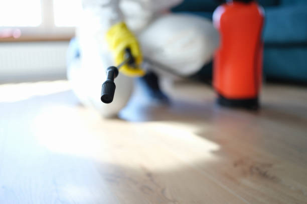 Best Commercial Mold Inspection  in North Muskegon, MI