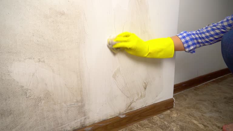 Mold Documentation for Insurance Claims in North Muskegon, MI