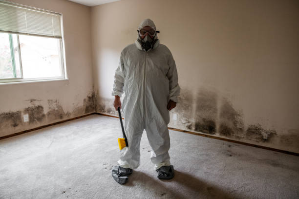 North Muskegon, MI Mold Removal Company